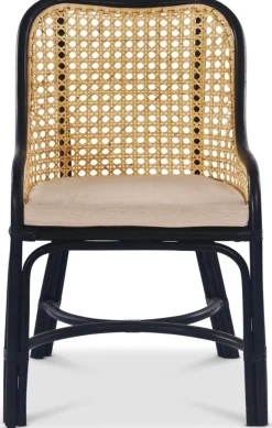 Anton matstol i rotting med dyna + Möbeltassar