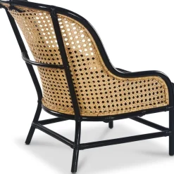 Anton svart fåtölj i rotting + Fläckborttagare för möbler