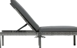 Bilbao solsäng - Grå + Rengöringsmedel för utemöbler