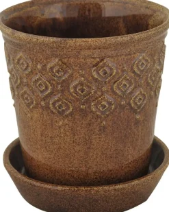 Blomkruka med fat brun