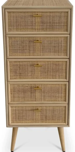 Byrå i rotting med 5 lådor - React