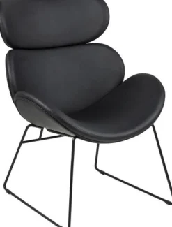 Casar fåtölj i svart PU + Fläckborttagare för möbler