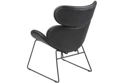 Casar fåtölj i svart PU + Textilrengöring för möbler