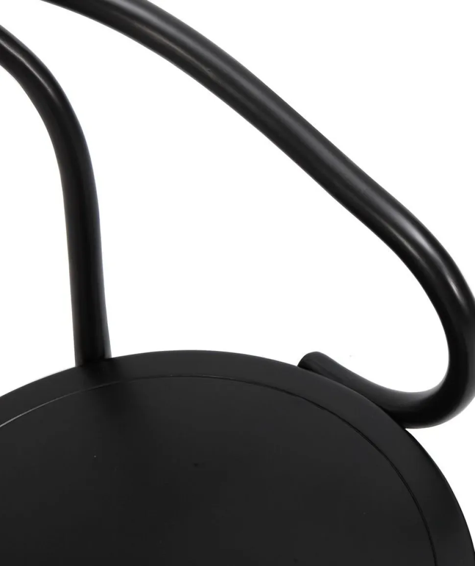 Danderyd No.30 svart karmstol i böjträ + Fläckborttagare för möbler