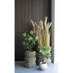 Fikonträd konstväxt - Grön