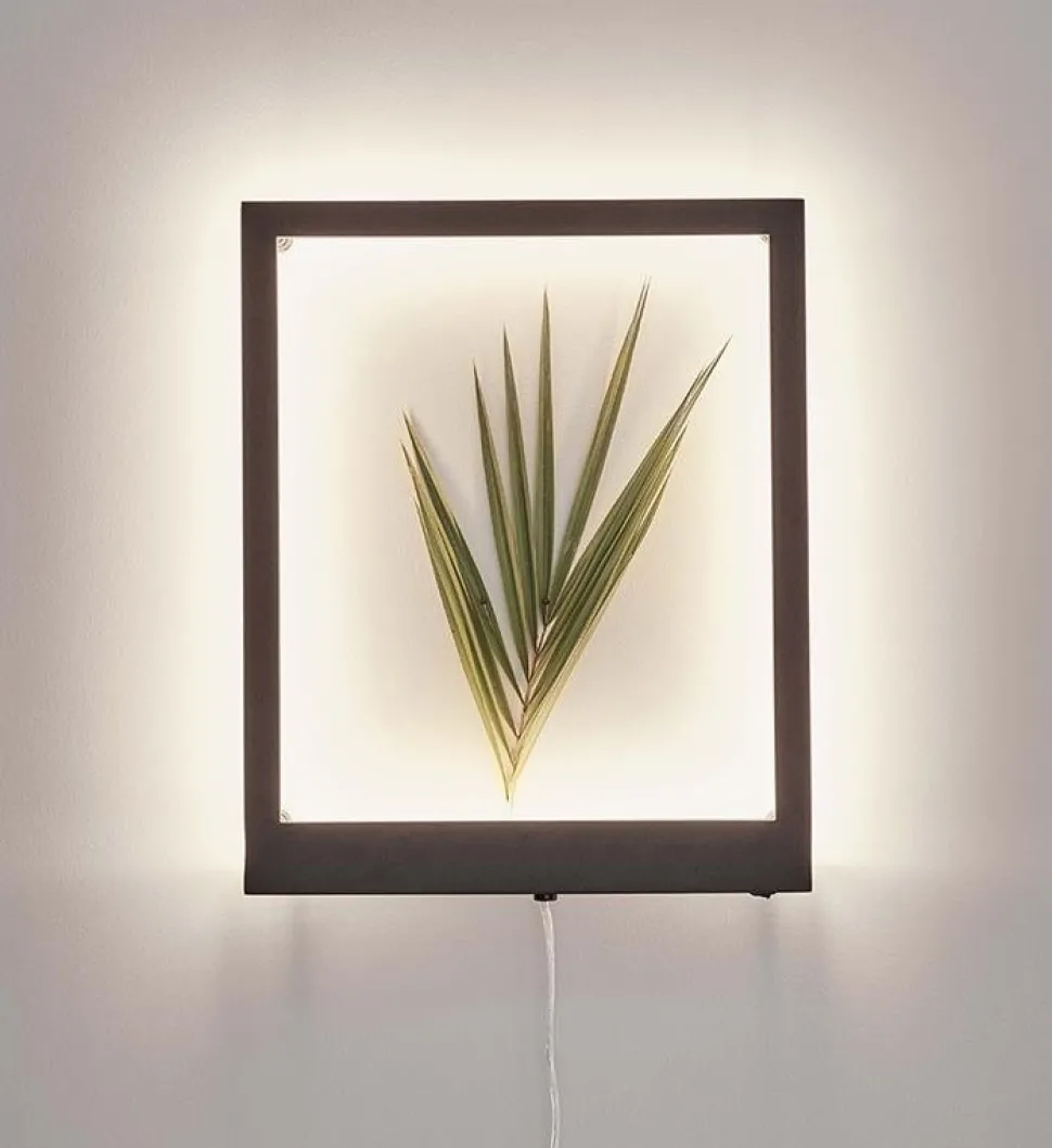 Frame vägglampa 41x33 cm - Svart