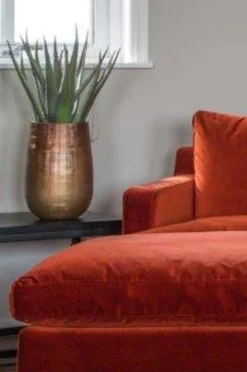 Konstväxt Alovera 50 cm hög