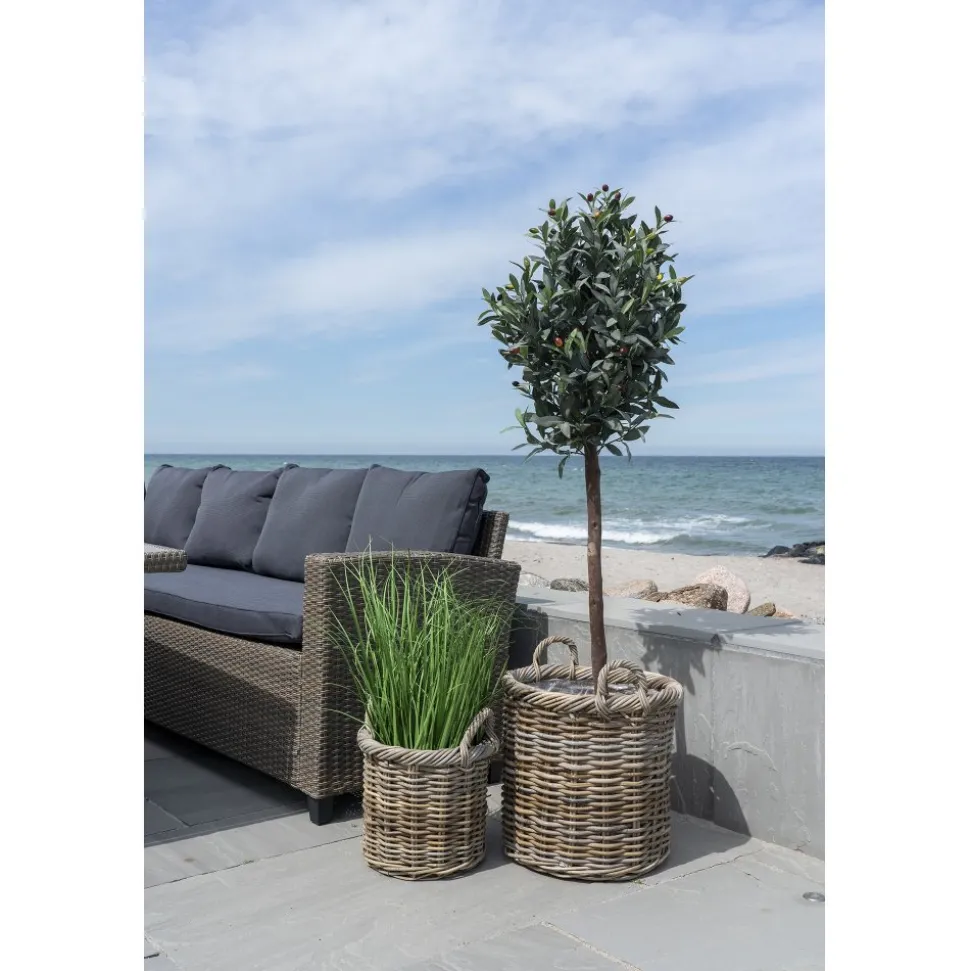 Korgset med 2 st korgar - Rotting