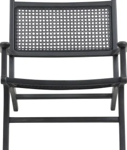 Linnea fåtölj - Svart/rotting + Textilrengöring för möbler