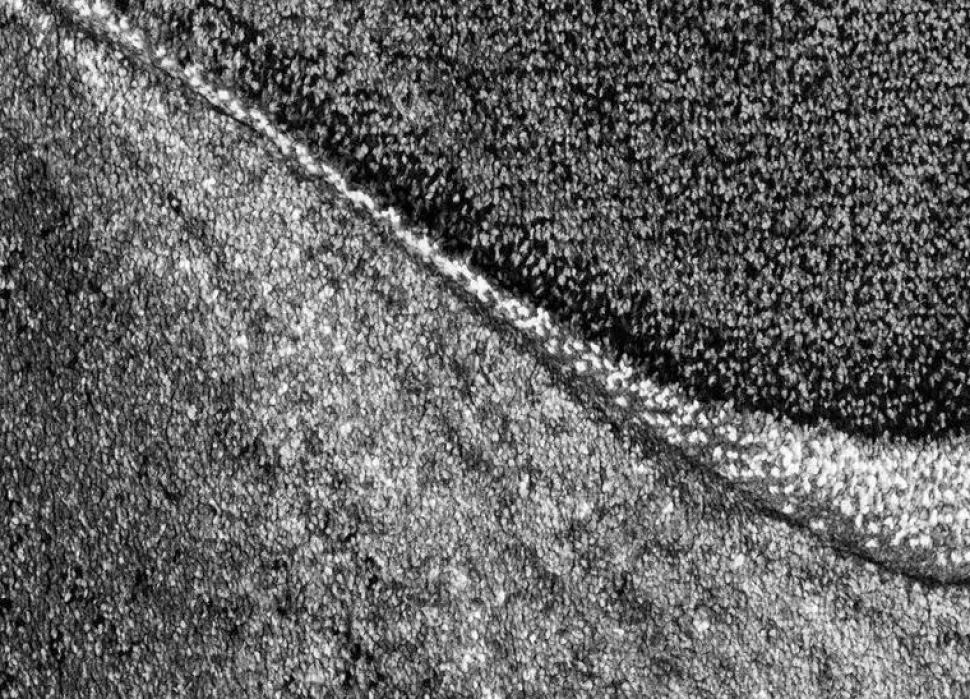 Maskinvävd matta Arvel - Grå