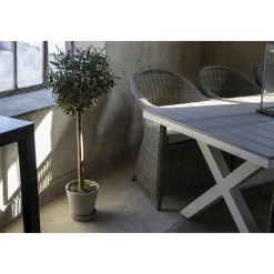 Matgrupp Mercury bord inkl 6 st fåtöljer - Konstrotting/Vit aluminium + Textilrengöring för möbler