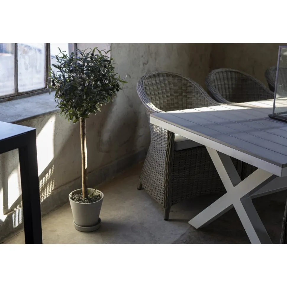 Matgrupp Mercury bord inkl 6 st fåtöljer - Konstrotting/Vit aluminium + Textilrengöring för möbler