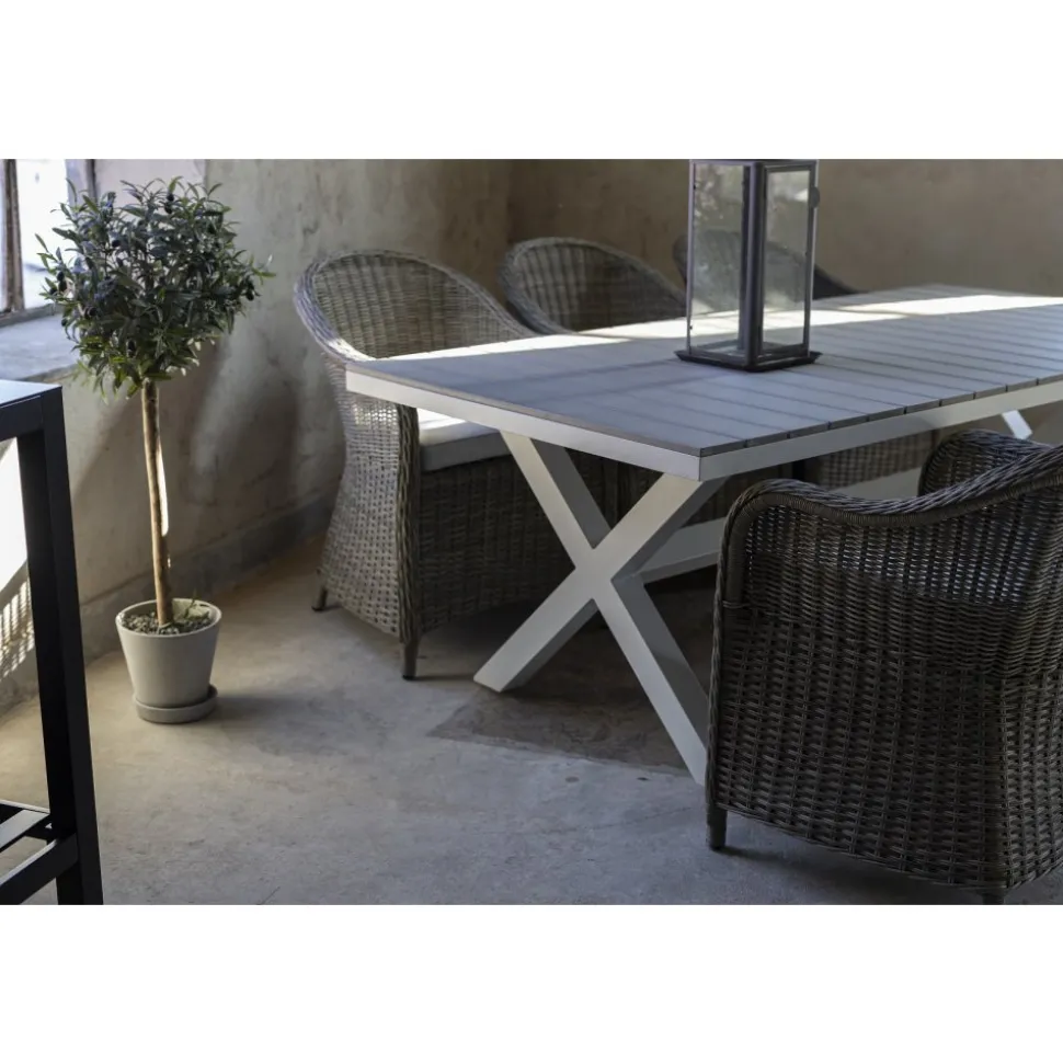 Matgrupp Mercury bord inkl 6 st fåtöljer - Konstrotting/Vit aluminium + Textilrengöring för möbler