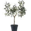 Olivträd konstväxt - H:61 cm