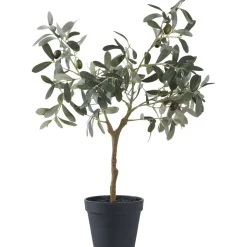 Olivträd konstväxt - H:61 cm