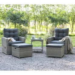 Orlando Set - Stolar + Rengöringsmedel för utemöbler