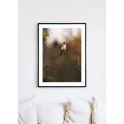 Posterworld - Motiv Bird - 70 x 100 cm