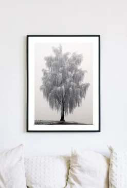 Posterworld - Motiv Frosty tree - 50x70 cm