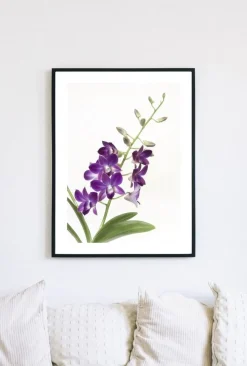 Posterworld - Motiv Orchid - 70x100 cm