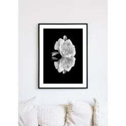 Posterworld - Motiv White Rose - 50 x 70 cm
