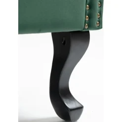 Öronlappsfåtölj i grön sammet + Fläckborttagare för möbler