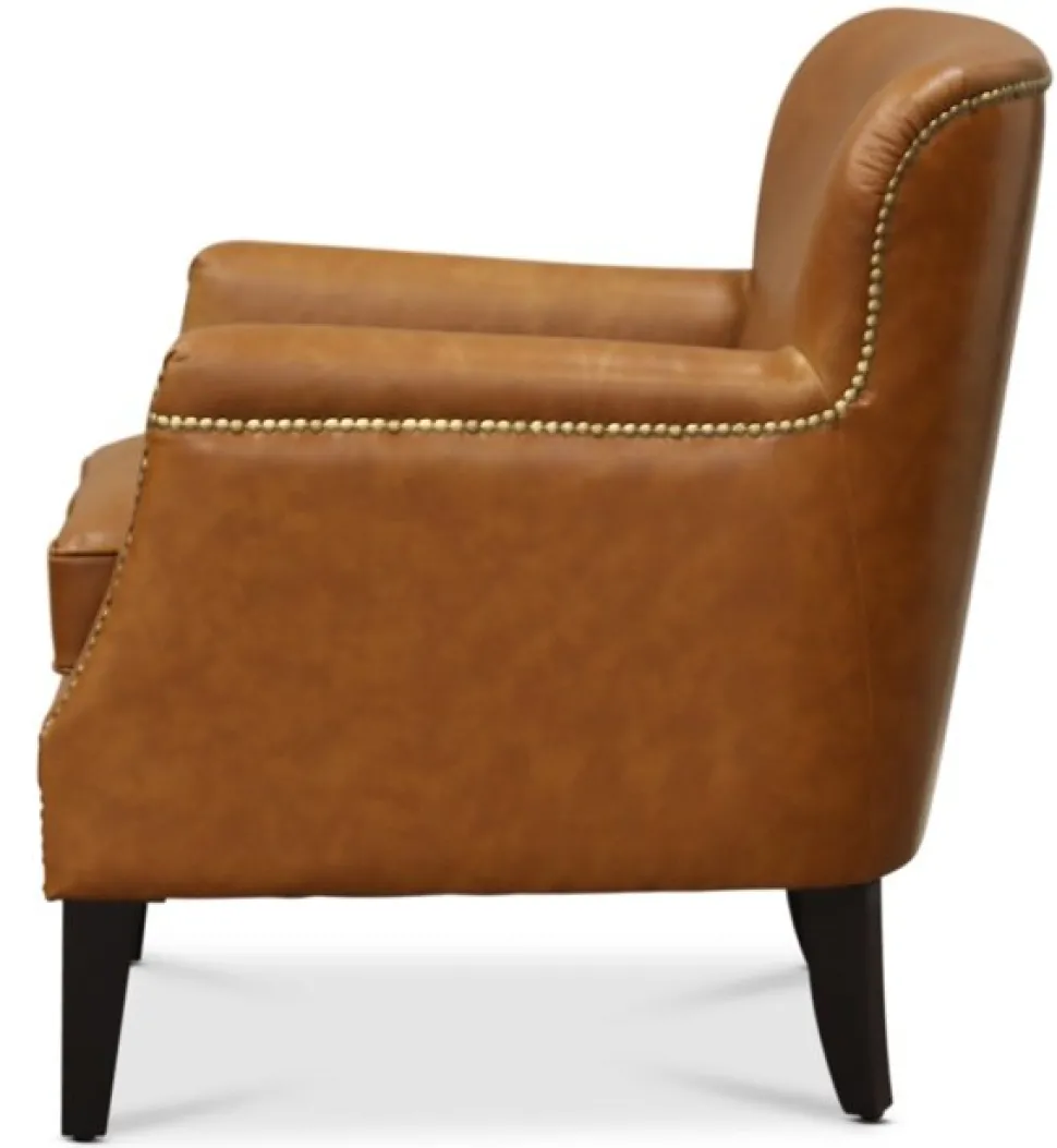 Skinnfåtölj brun - Ambassadör Professor + Fläckborttagare för möbler