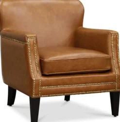 Skinnfåtölj brun - Ambassadör Professor