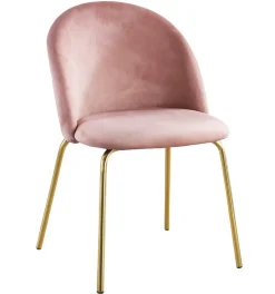 Stol i rosa sammet guldiga ben + Textilrengöring för möbler