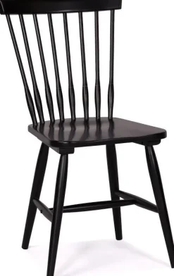 Tärnö svart pinnstol + Stolsdyna