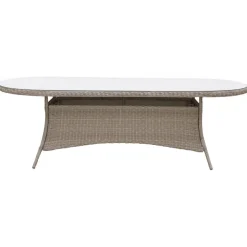 Utebord ovalt 230x100 cm - Natur + Rengöringsmedel för utemöbler