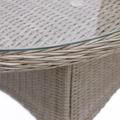 Utebord ovalt 230x100 cm - Natur + Rengöringsmedel för utemöbler