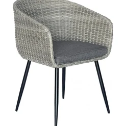 Utestol grå med dyna rotting + Rengöringsmedel för utemöbler