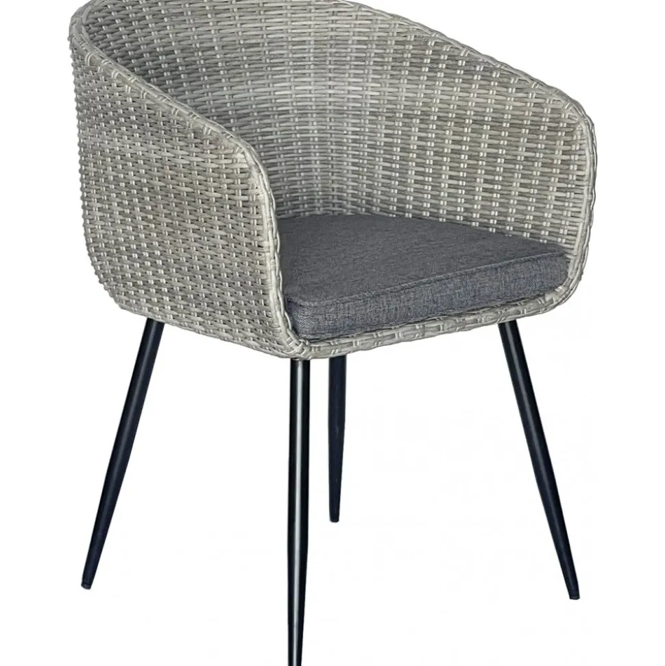 Utestol grå med dyna rotting + Rengöringsmedel för utemöbler