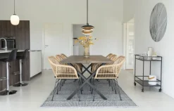 Utestol med dyna - Natur + Textilrengöring för möbler