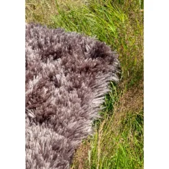 Willy matta - Chocolate