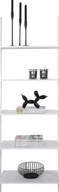 Writex steghylla - Vit